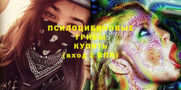 mdpv Рославль