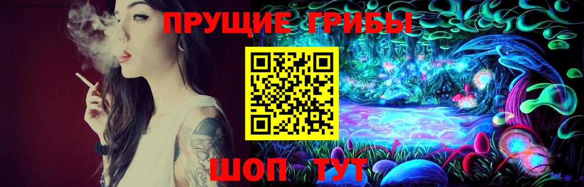 Галлюциногенные грибы Cubensis Тутаев