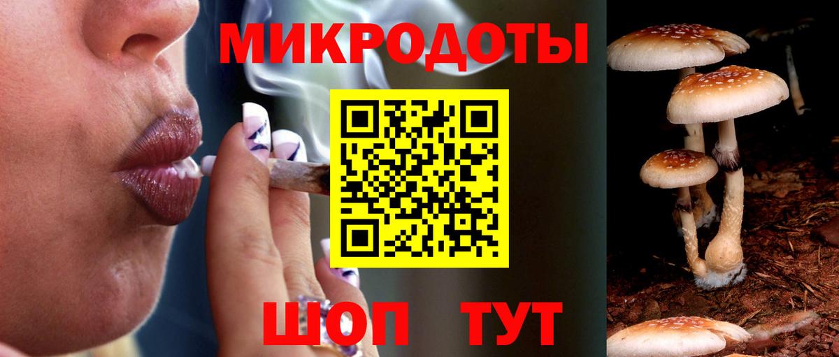 Псилоцибиновые грибы мухоморы  Тутаев 