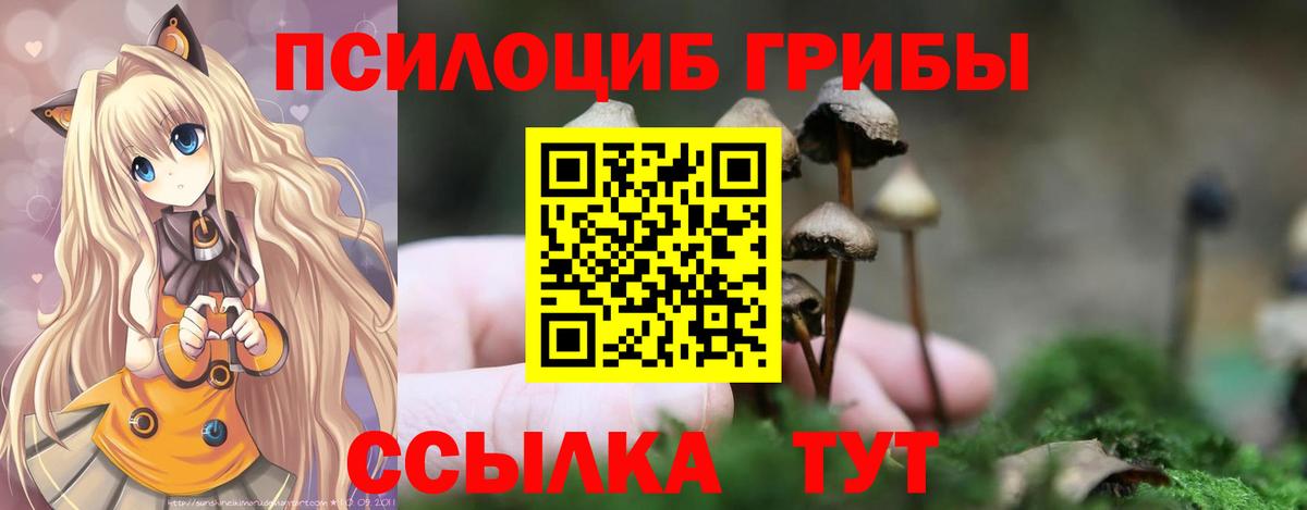 Псилоцибиновые грибы Cubensis  Вход с VPN  Псилоцибиновые грибы Psilocybine cubensis  Тутаев 
